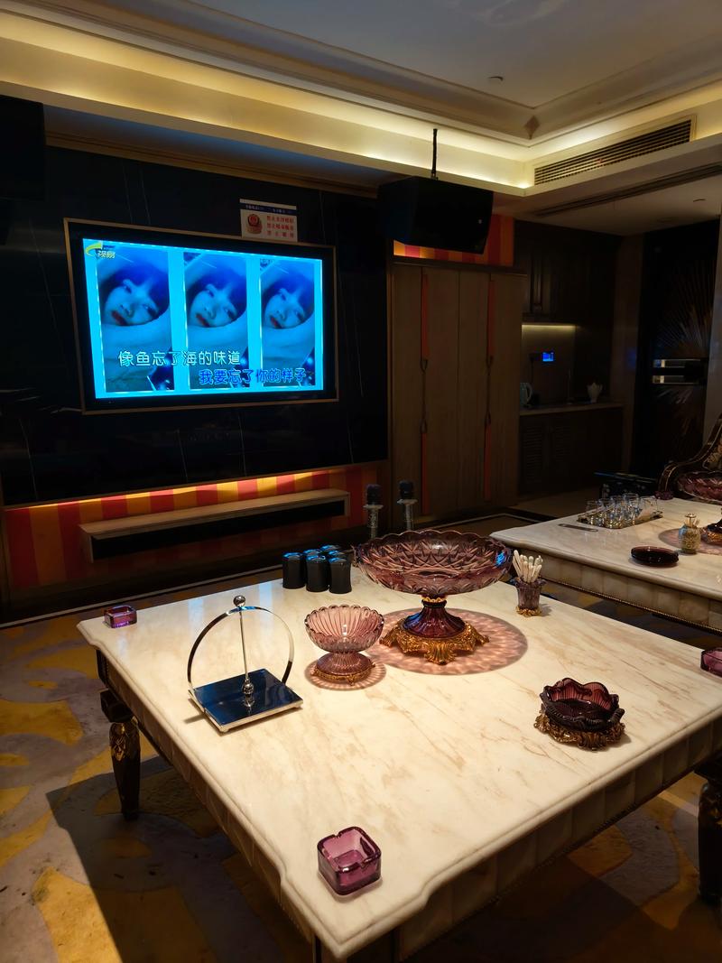 遂宁商务ktv消费攻略分享-大英县ktv预定